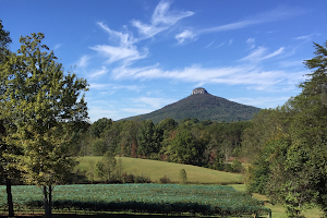 Pilot Mountain Vineyards Wedding Venue image