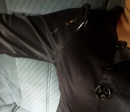 The Young Shall Grow photo