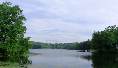 Springwood Lakes