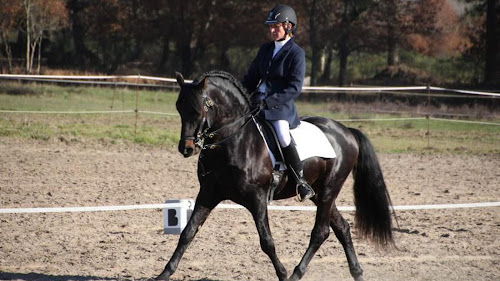 Centre équestre CENTRE EQUESTRE DE LA REOLE La Réole