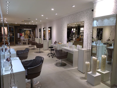 Françoise BROOKS "Le SALON" à Blois