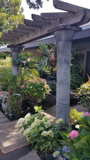 Florist «The Green Fashion Florist», reviews and photos, 915 S Claremont St, San Mateo, CA 94402, USA