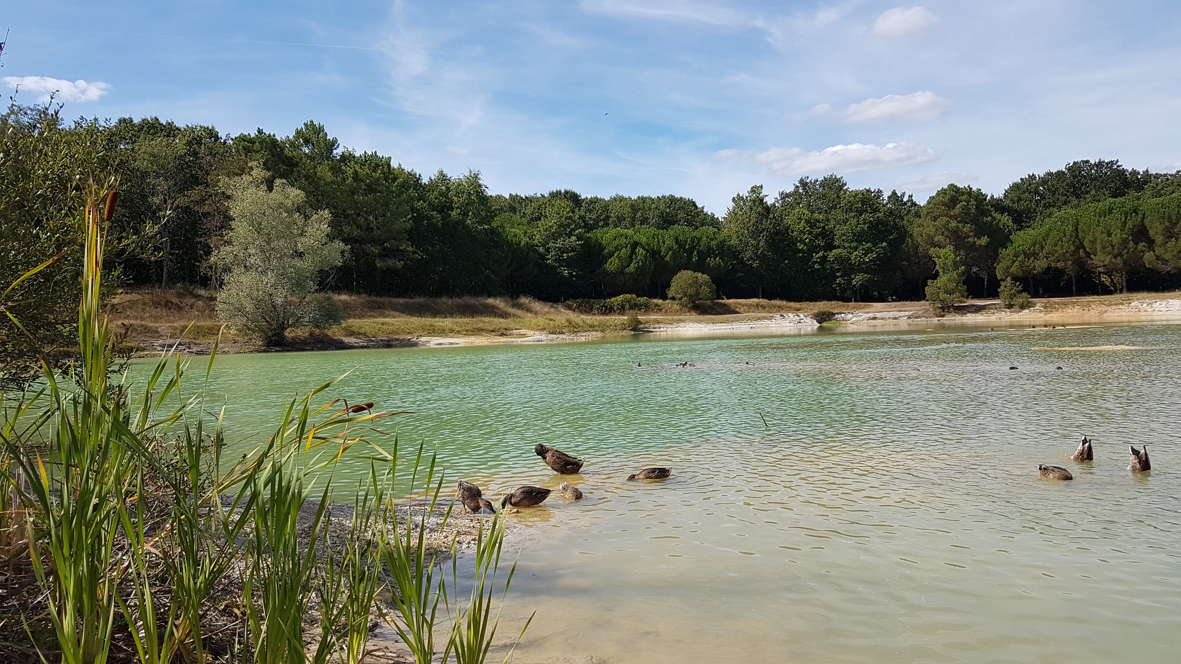 Photo n° 8 de l'avis de Alae. fait le 04/10/2019 à 16:23