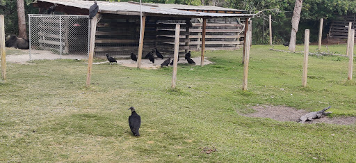 Amusement Park «Gatorland», reviews and photos, 14501 S Orange Blossom Trail, Orlando, FL 32837, USA