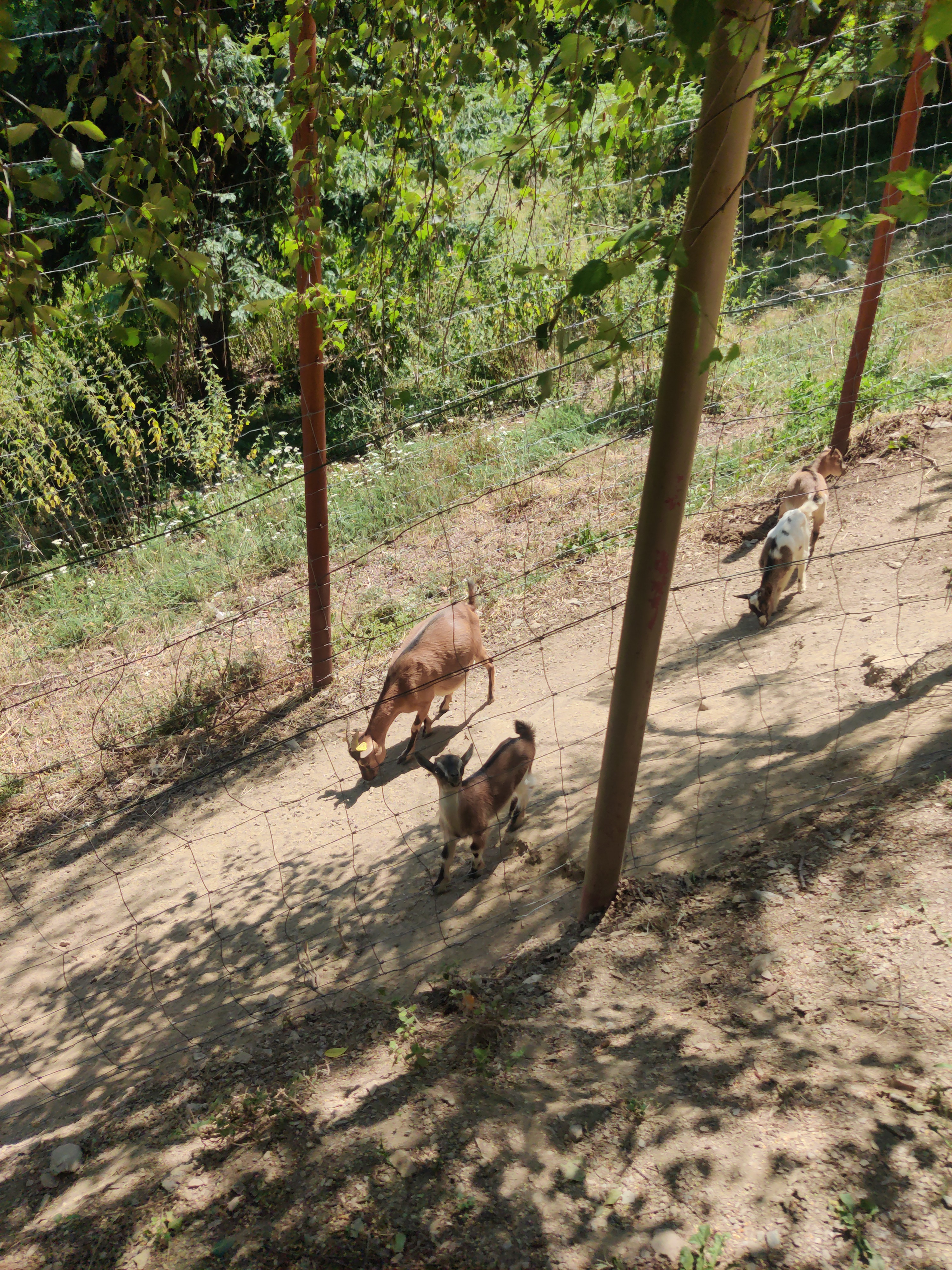 Photo n° 8 de l'avis de Fanny. fait le 19/07/2022 à 14:00