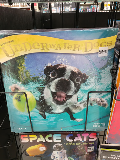 Discount Store «Big Lots», reviews and photos, 501 Montauk Hwy, West Babylon, NY 11704, USA