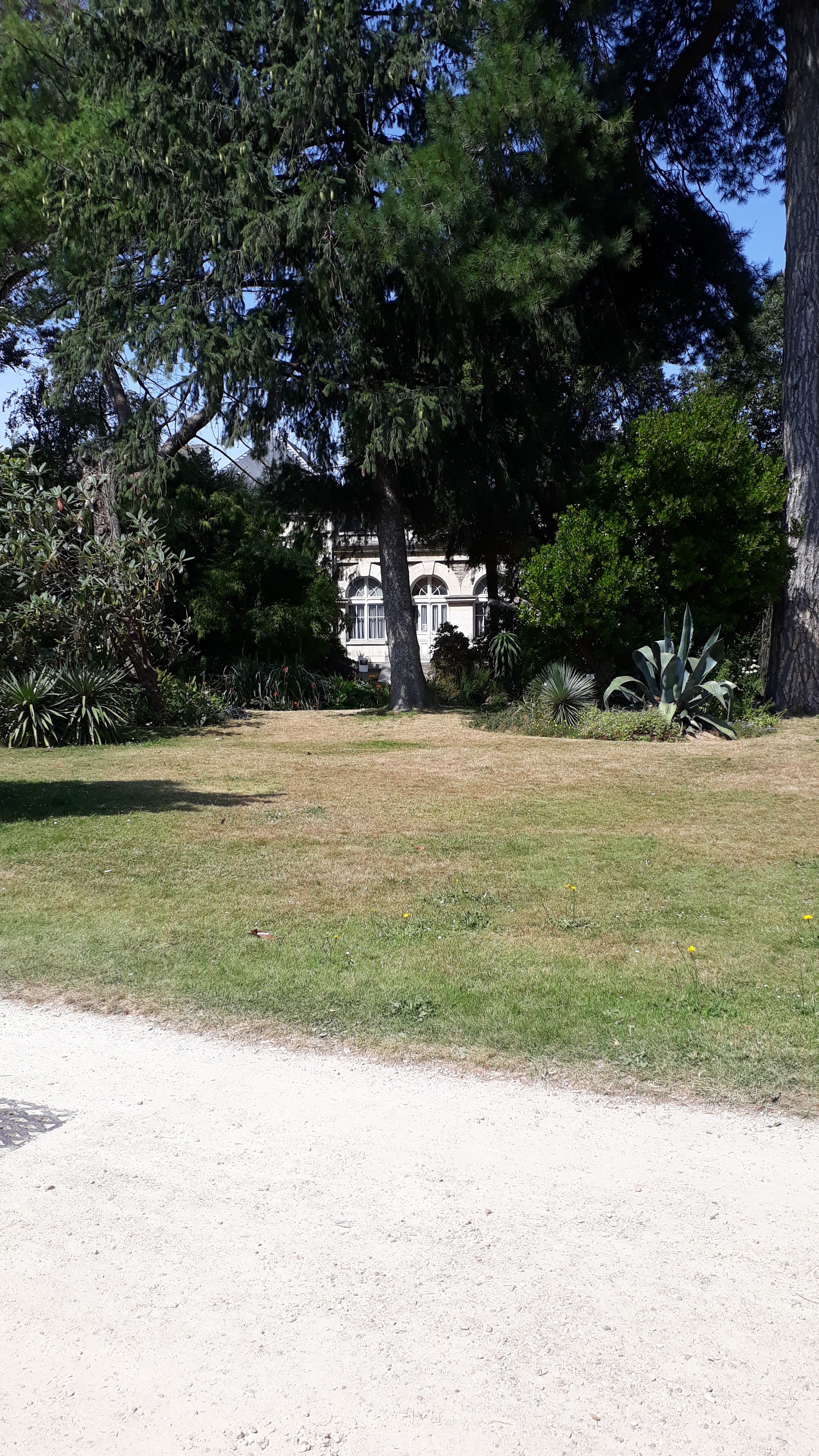 Photo n° 1 de l'avis de Brigitte.e fait le 31/07/2020 à 14:22