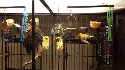 Pet Supply Store «PetSmart», reviews and photos, 300 Water Loop Ln, Collegeville, PA 19426, USA