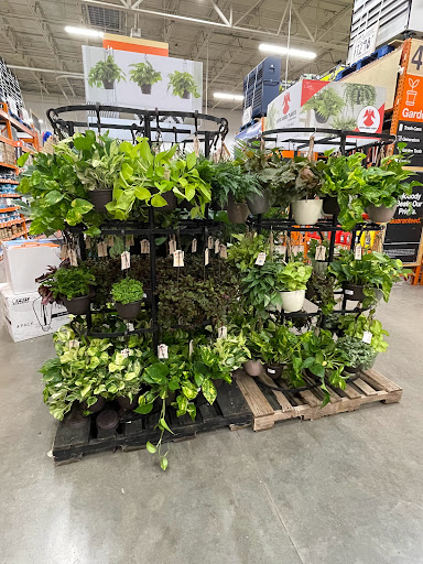 Home Improvement Store «The Home Depot», reviews and photos, 3600 Ranch Rd 620 S, Bee Cave, TX 78738, USA