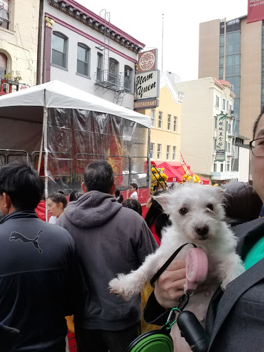 Dessert Shop «Dragon Papa», reviews and photos, 752 Grant Ave, San Francisco, CA 94108, USA