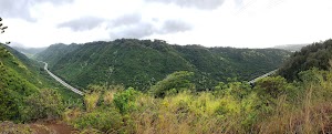 Aiea Ridge Trail - photo 66