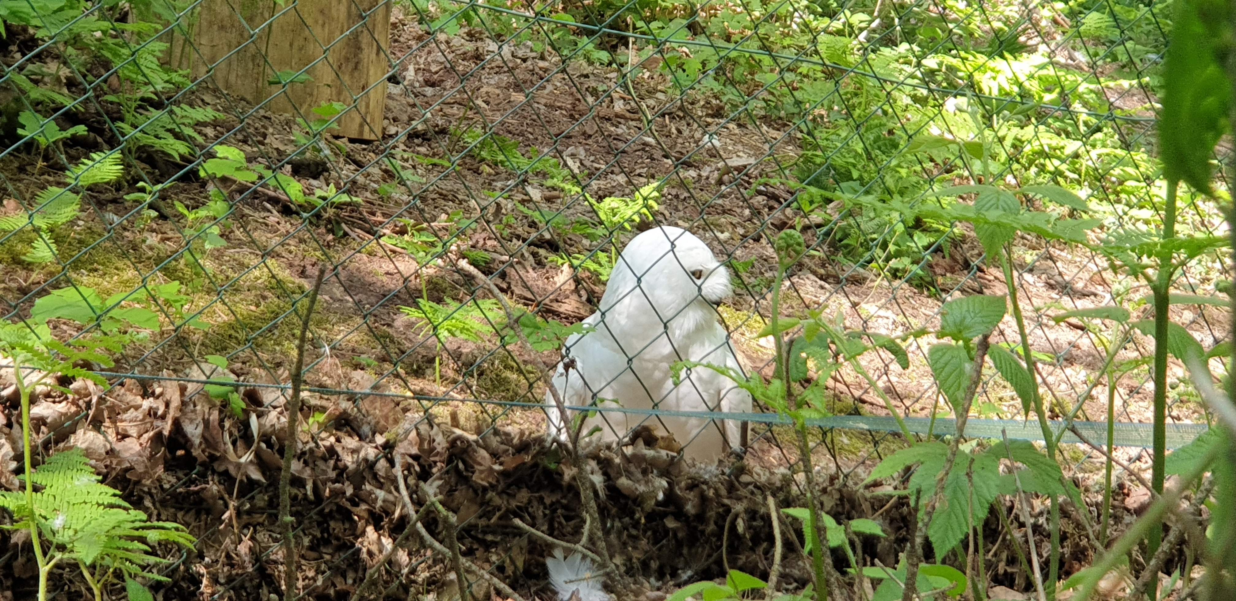 Photo n° 5 de l'avis de Dominique.A fait le 05/05/2022 à 18:02