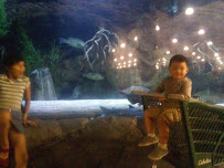 AAA Custom Pools - Photo 3 - Car repair in , Greenville