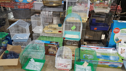 Pet Store «Kalamazoo Reptile Show», reviews and photos, 2900 Lake St, Kalamazoo, MI 49048, USA