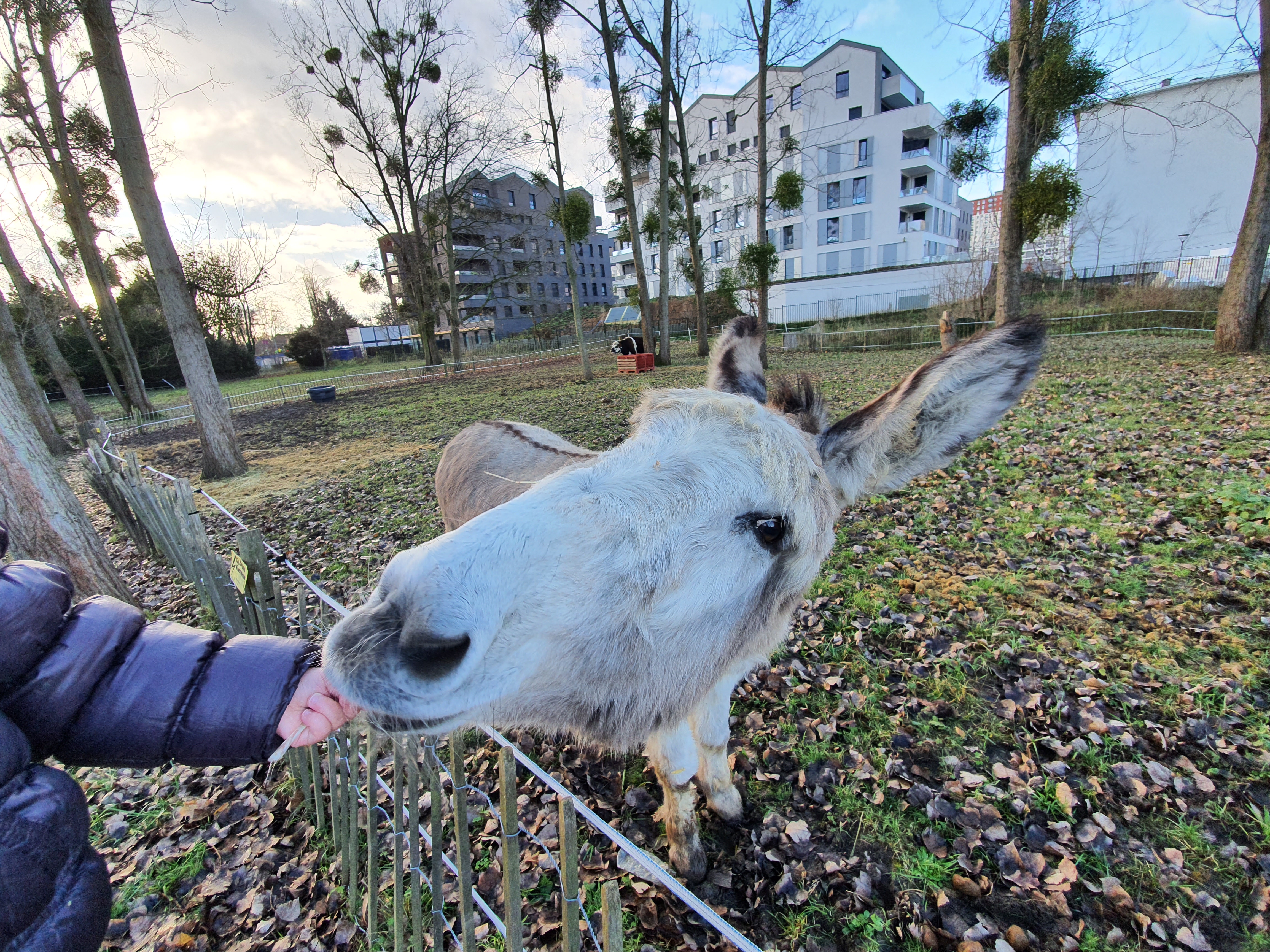 Photo n° 2 de l'avis de Yozer. fait le 16/02/2020 à 16:03