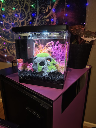 Find tattoo ideas with clocks for your next unique tattoo in Beaverton at In The Mix Tattoo Studio LLC