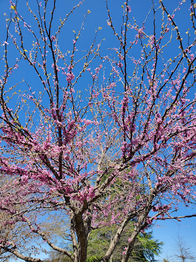 Park «Legacy Park», reviews and photos, 336 Rocky Slope Rd, Greenville, SC 29607, USA