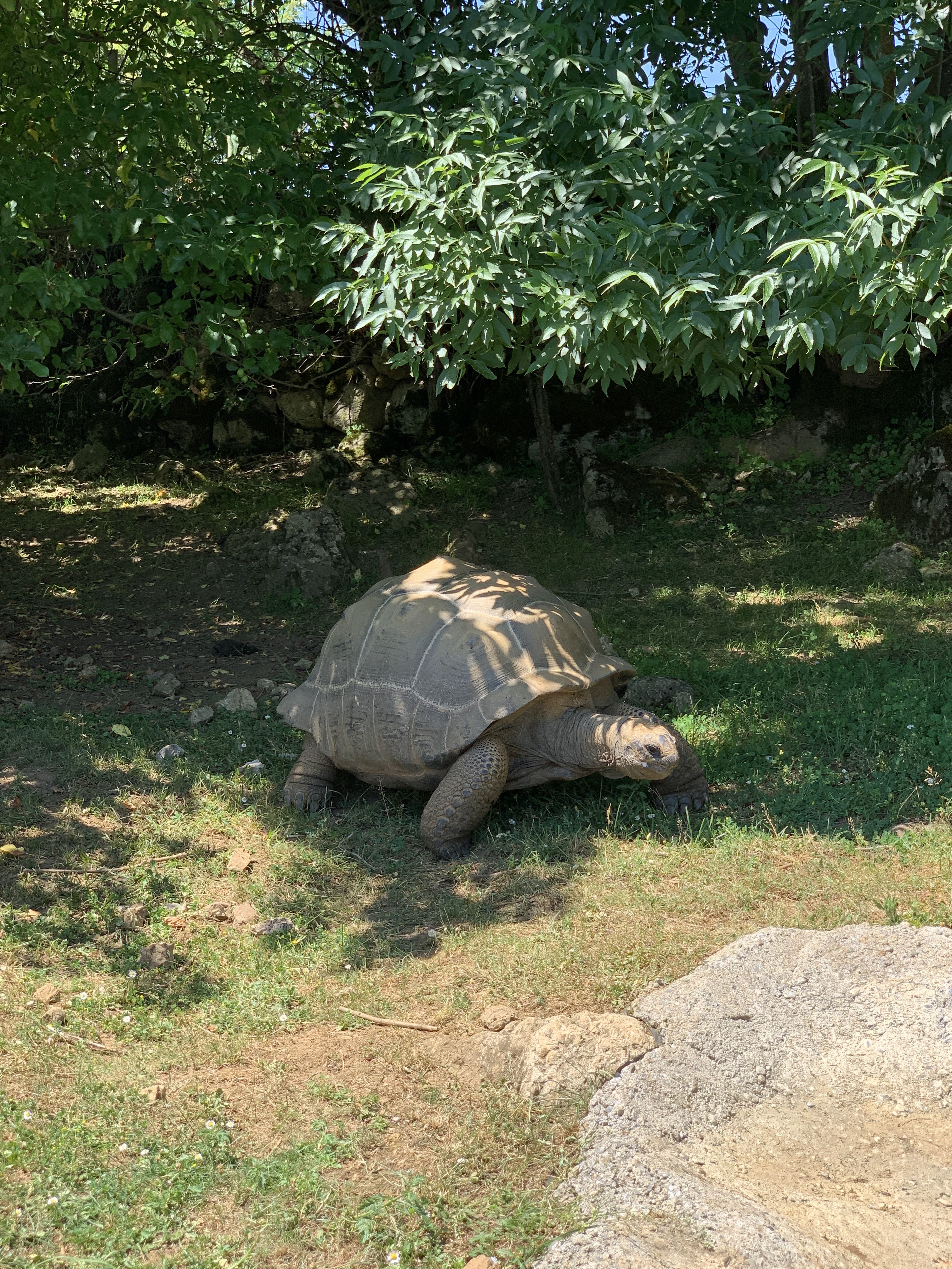 Photo n° 1 de l'avis de Anteix.R fait le 15/06/2021 à 07:34
