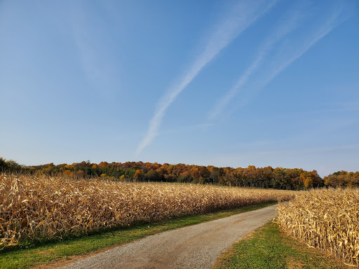 Winery «Staller Estate Winery», reviews and photos, W8896 County Rd A, Delavan, WI 53115, USA