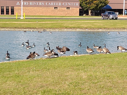 Grocery Store «Meijer», reviews and photos, 2153 Marion-Mt Gilead Rd, Marion, OH 43302, USA