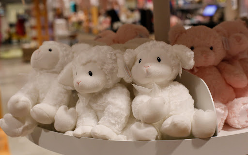 Department Store «Nordstrom Waterside», reviews and photos, 5489 Tamiami Trail N, Naples, FL 34108, USA