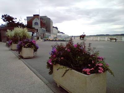 Go Baie de Somme à Le Crotoy