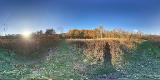 Park «Albion Woods Picnic Area», reviews and photos, Albion Woods Dr, Strongsville, OH 44136, USA