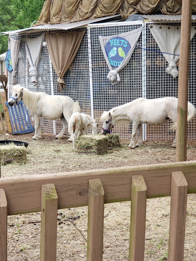 Amusement Park «Screams Halloween Theme Park», reviews and photos, 2511 FM 66, Waxahachie, TX 75167, USA