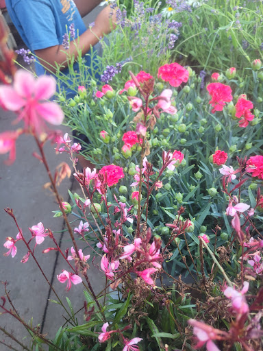 Home Improvement Store «The Home Depot», reviews and photos, 244 US-202, Flemington, NJ 08822, USA