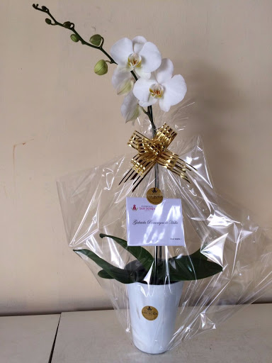 Florería San Borja