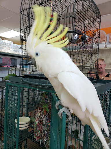 Pet Store «Louis Birds Pets & Supplies», reviews and photos, 80 Keyes St, San Jose, CA 95122, USA