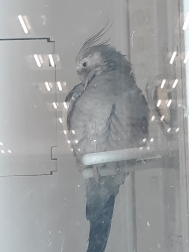 Pet Supply Store «Petco Animal Supplies», reviews and photos, 188 Kitts Ln, Newington, CT 06111, USA