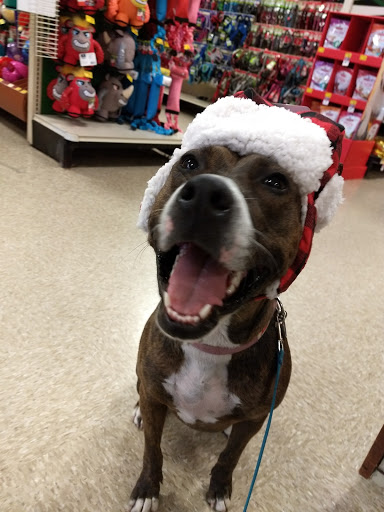 Pet Supply Store «PetSmart», reviews and photos, 5160 US-70, Morehead City, NC 28557, USA