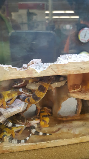 Pet Supply Store «Petco Animal Supplies», reviews and photos, 4012 W 27th Ave, Kennewick, WA 99337, USA