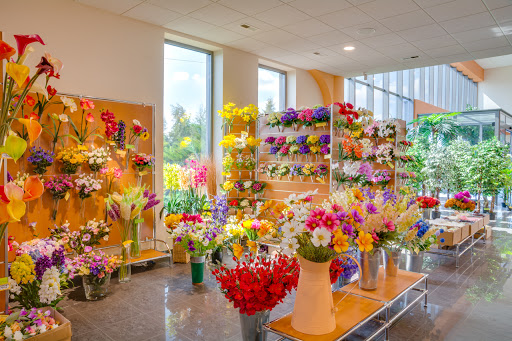 Lotos - Hurtownia sztucznych kwiatów i artykułów dekoracyjnych