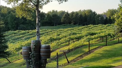 Wild Oaks Ranch Vineyard & Winery