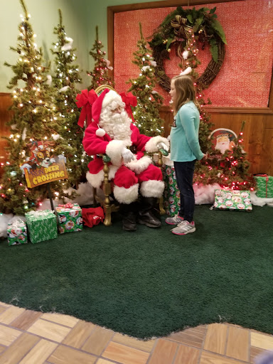 Toy Store «Village Toy Shoppe», reviews and photos, 400 N Main St, Milford, MI 48381, USA