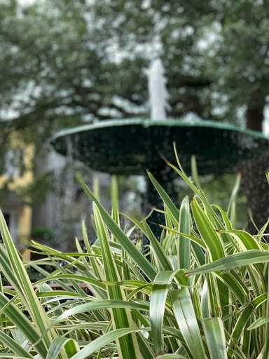 Museum «Davenport House Museum», reviews and photos, 324 E State St, Savannah, GA 31401, USA