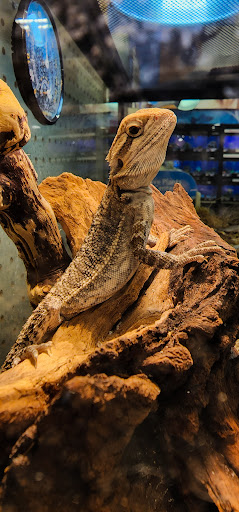 Pet Supply Store «PetSmart», reviews and photos, 8014 Old Carriage Ct, Shakopee, MN 55379, USA