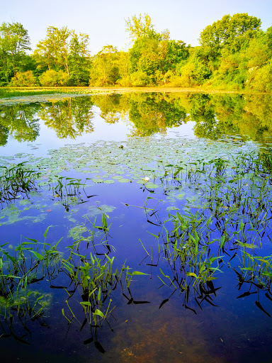 100 Bauer Dr, Oakland, NJ 07436, USA