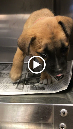 Grocery Store «North Shore Farms», reviews and photos, 770 Port Washington Blvd, Port Washington, NY 11050, USA