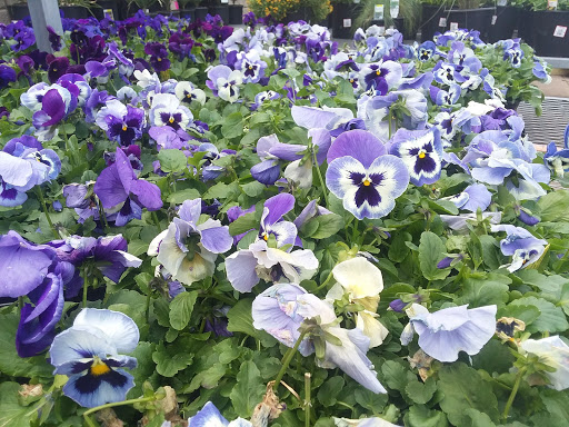 Home Improvement Store «The Home Depot», reviews and photos, 310 N White Horse Pike #1, Lawnside, NJ 08045, USA