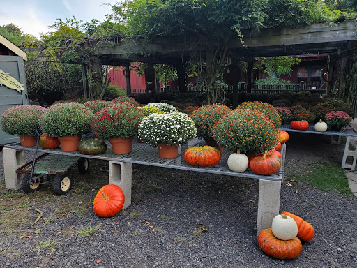 Farm «B & B Flower Farm», reviews and photos, 668 Jones Hill Rd, West Haven, CT 06516, USA