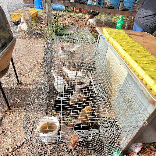 Flea Market «Parkland Flea Market & Restaurant», reviews and photos, 4994 Murfreesboro Rd, Lebanon, TN 37090, USA