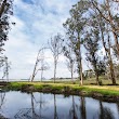 Morro Coast Audubon Society Sweet Springs Nature Preserve