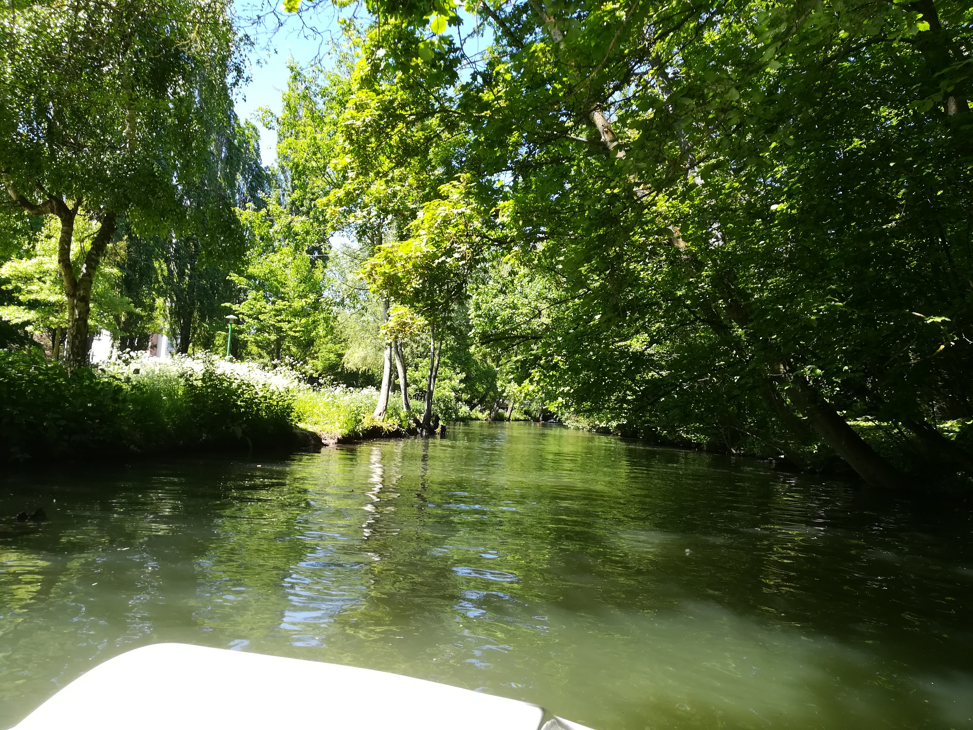 Photo n° 3 de l'avis de Bertrand.h fait le 07/05/2018 à 19:11