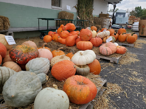 Stauffer Fruit Stand, RR 663, Pennsburg, PA 18073, USA, 