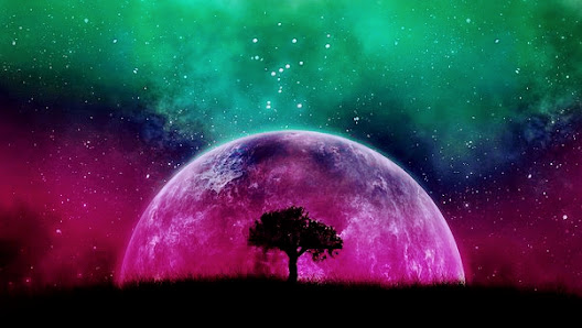 Escape Reality Tarot Readings 