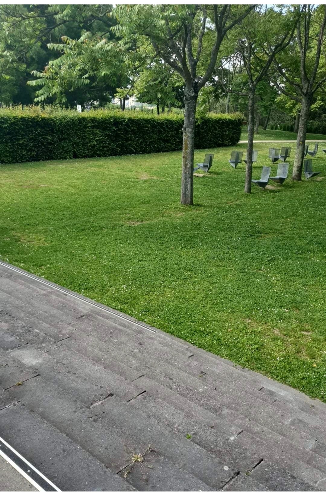 Photo n° 5 de l'avis de Laïchouche.O fait le 09/06/2021 à 18:34