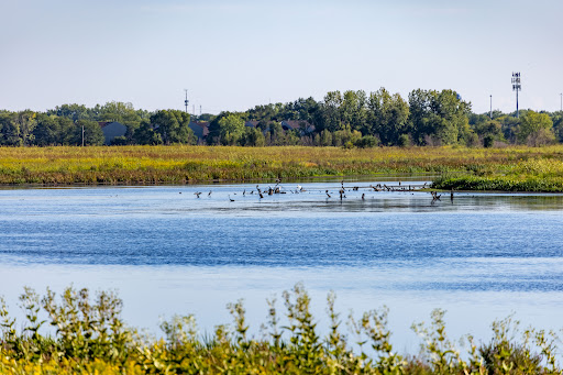 Nature Preserve «Rollins Savanna Forest Preserve», reviews and photos, 20160 W Washington St, Grayslake, IL 60030, USA